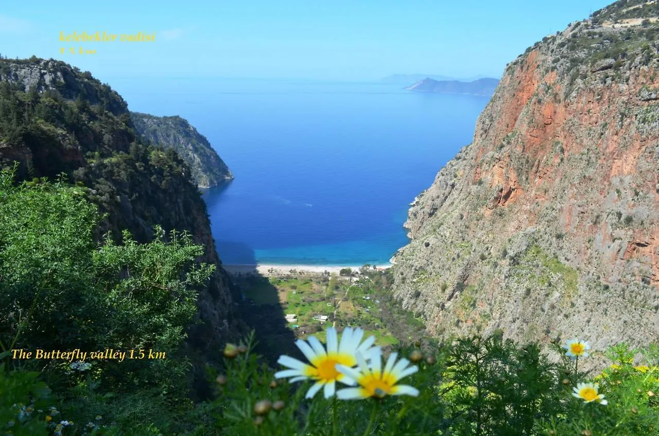 California Apart Otel Oludeniz Turkey